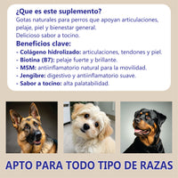 Suplemento Colágeno Mascotas