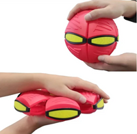 Paw Light Play (Pelota Frisby)