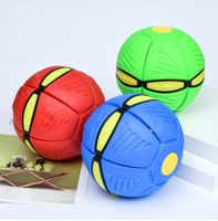 Paw Light Play (Pelota Frisby)