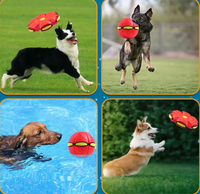 Paw Light Play (Pelota Frisby)