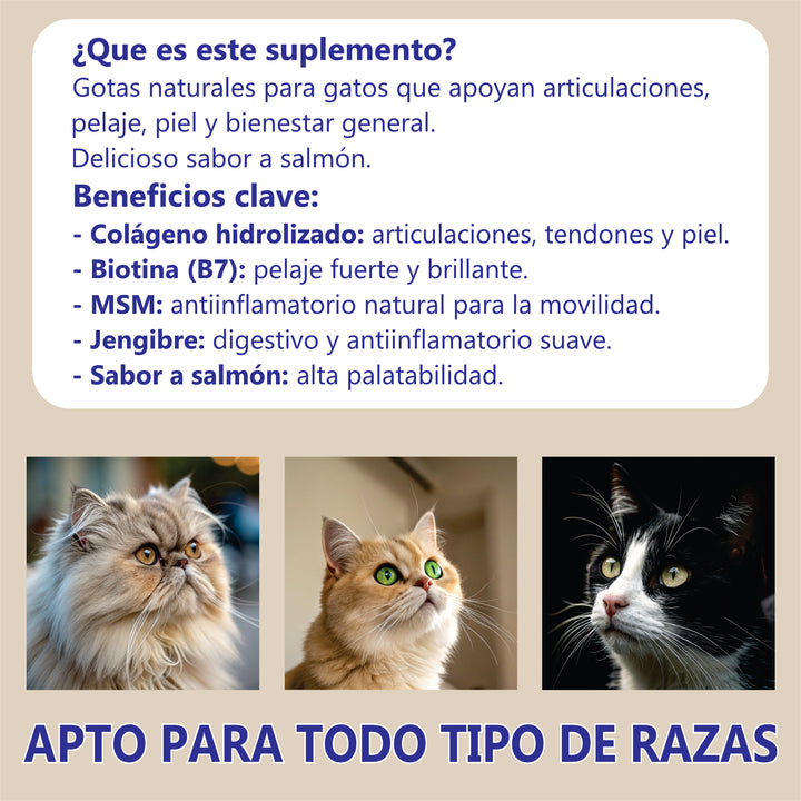 Suplemento Colágeno Mascotas