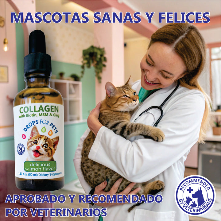 Suplemento Colágeno Mascotas