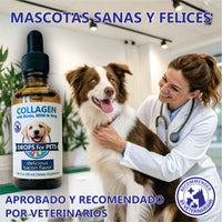 Suplemento Colágeno Mascotas
