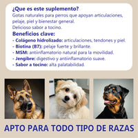 Suplemento Colágeno Mascotas