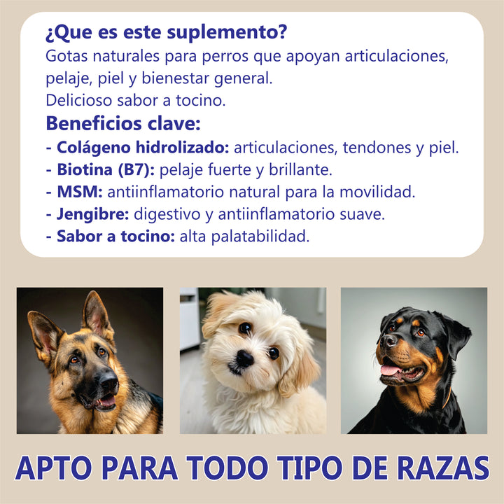 Suplemento Colágeno Mascotas
