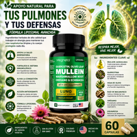 🌿 MULLEIN – Bienestar Natural