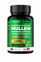 🌿 MULLEIN – Bienestar Natural