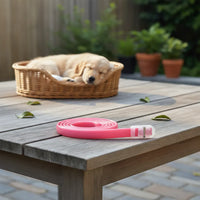 Collar Anti Pulgas